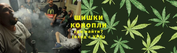 дурь Алзамай