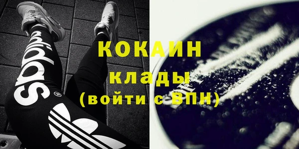 дживик Елабуга