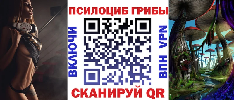 darknet Telegram  Луза  Галлюциногенные грибы Cubensis 